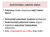 Sakinio dalių kartojimas 6 puslapis