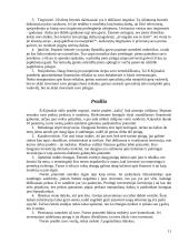 R.T. Kiyosaki, S.L. Lechter "Du tėčiai – turtingas ir vargšas" 11 puslapis