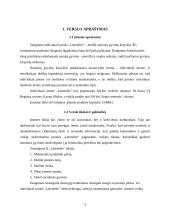 Šunų kirpyklos steigimas 3 puslapis