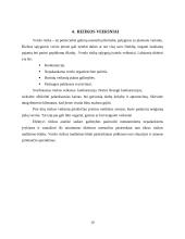Šunų kirpyklos steigimas 10 puslapis