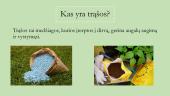 Trąšos, jų skirstymas, nauda bei žala 3 puslapis