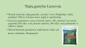 Trąšos, jų skirstymas, nauda bei žala 9 puslapis
