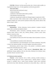 Dokumentų rengimo taisyklės, asmenų rengiami dokumentai 6 puslapis