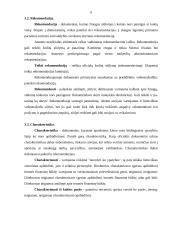 Dokumentų rengimo taisyklės, asmenų rengiami dokumentai 9 puslapis