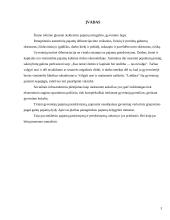 Pajamų nelygybė ir gyvenimo lygis 3 puslapis