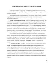 Pajamų nelygybė ir gyvenimo lygis 4 puslapis