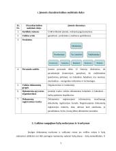 Raštvedyba. Įmonių dokumentai 3 puslapis