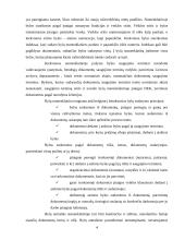 Raštvedyba. Įmonių dokumentai 4 puslapis