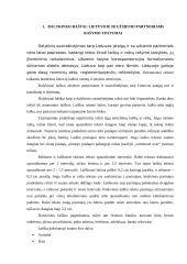 Dalykinė raštvedyba 2 puslapis