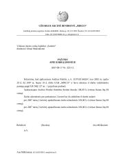 Dalykinė raštvedyba 17 puslapis