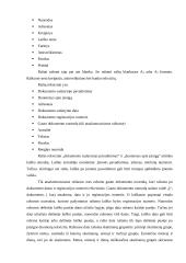 Dalykinė raštvedyba 3 puslapis