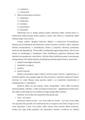 Dalykinė raštvedyba 7 puslapis