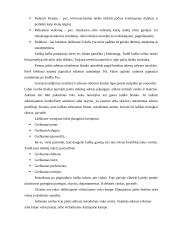 Dalykinė raštvedyba 9 puslapis