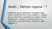 Šatrijos Ragana: asmenybė ir kūryba 3 puslapis
