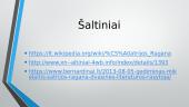 Šatrijos Ragana: asmenybė ir kūryba 10 puslapis