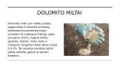 Dolomito gavimas 6 puslapis