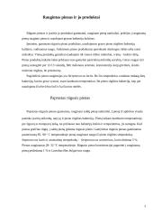 Rauginto pieno mikrobiologinė analizė ir galimi mikrobinių gedimų sukėlėjai 3 puslapis