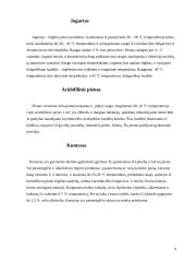 Rauginto pieno mikrobiologinė analizė ir galimi mikrobinių gedimų sukėlėjai 4 puslapis