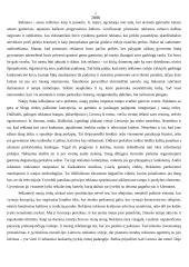 Reklamos ateitis 2 puslapis