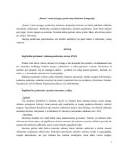 Reklamos kampanija: "Hansa" vonios įrangos pardavimų skatinimas 2 puslapis