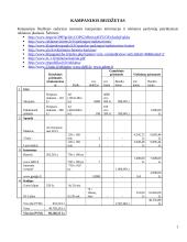 Reklamos kampanija: "Hansa" vonios įrangos pardavimų skatinimas 7 puslapis