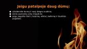 Kaip elgtis kilus gaisrui? 6 puslapis