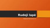 Rudoji lapė 
