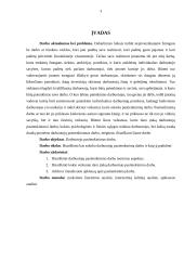N darbuotojo pasitenkinimo darbu didinimo gairės 3 puslapis