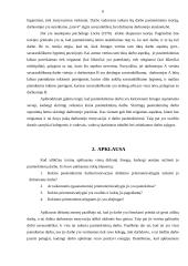 N darbuotojo pasitenkinimo darbu didinimo gairės 6 puslapis