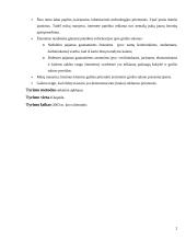 Reklamos priemonių efektyvumas reklamuojant grožio salonų paslaugas 2 puslapis