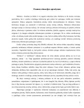 Reklamos priemonių efektyvumas reklamuojant grožio salonų paslaugas 3 puslapis