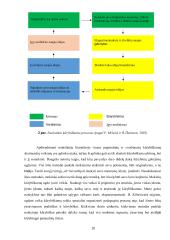 5-8 klasių mokinių kūrybiškumo raiška, naudojant muzikines kompiuterines technologijas Covid-19 metu 17 puslapis