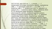 Žmogaus politinės, pilietinės teisės ir žmogaus socialinės, ekonominės, kultūrinės teisės 17 puslapis