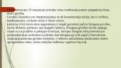 Žmogaus politinės, pilietinės teisės ir žmogaus socialinės, ekonominės, kultūrinės teisės 3 puslapis