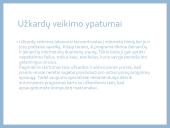 Informacijos apsauga kompiuteriuose 8 puslapis