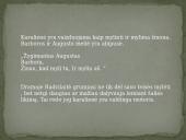 Barboros Radvilaitės įvaizdis skirtingų epochų literatūroje 7 puslapis