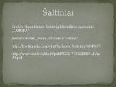 Barboros Radvilaitės įvaizdis skirtingų epochų literatūroje 10 puslapis