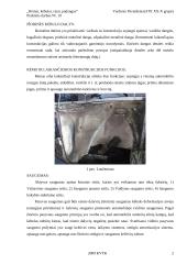 Rėmai, kėbulai, ratai, padangos 2 puslapis