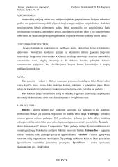 Rėmai, kėbulai, ratai, padangos 3 puslapis