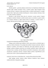 Rėmai, kėbulai, ratai, padangos 4 puslapis