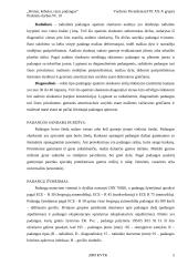 Rėmai, kėbulai, ratai, padangos 5 puslapis