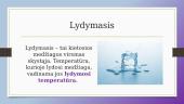 Lydymasis ir kietėjimas 3 puslapis
