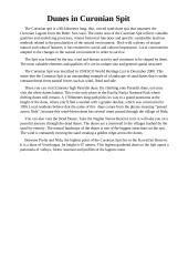 Dunes in Curonian Spit