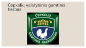 Apie Čepkelių valstybinį gamtinį rezervatą 2 puslapis