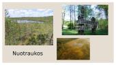 Čepkelių valstybinis gamtinis rezervatas 8 puslapis