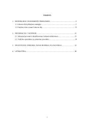 Respublikos ekonominės problemos. Informacija vadyboje. Investicijos 2 puslapis