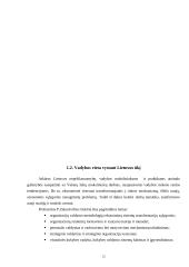 Respublikos ekonominės problemos. Informacija vadyboje. Investicijos 12 puslapis