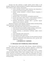 Respublikos ekonominės problemos. Informacija vadyboje. Investicijos 14 puslapis