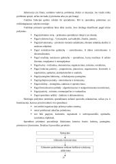 Respublikos ekonominės problemos. Informacija vadyboje. Investicijos 20 puslapis