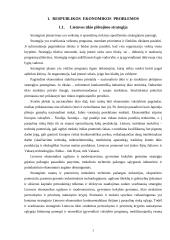 Respublikos ekonominės problemos. Informacija vadyboje. Investicijos 3 puslapis